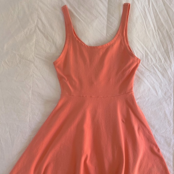 Coral Express Skater Dress - Picture 2 of 3